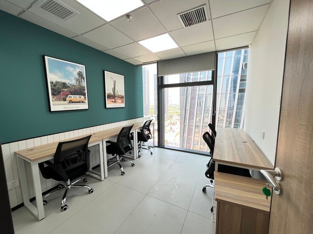 普陀区布偶猫咪定制选购公司