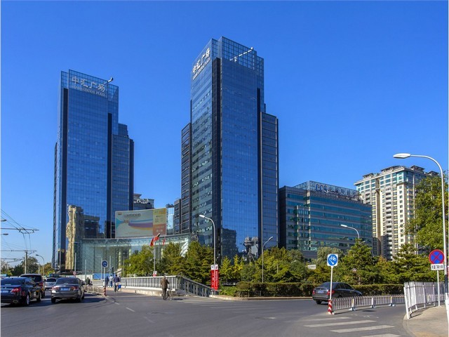 普陀区布偶猫咪定制选购公司