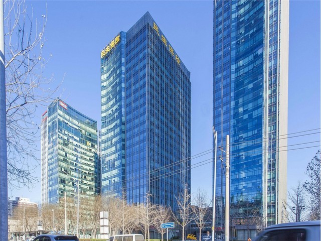 普陀区布偶猫咪定制选购公司